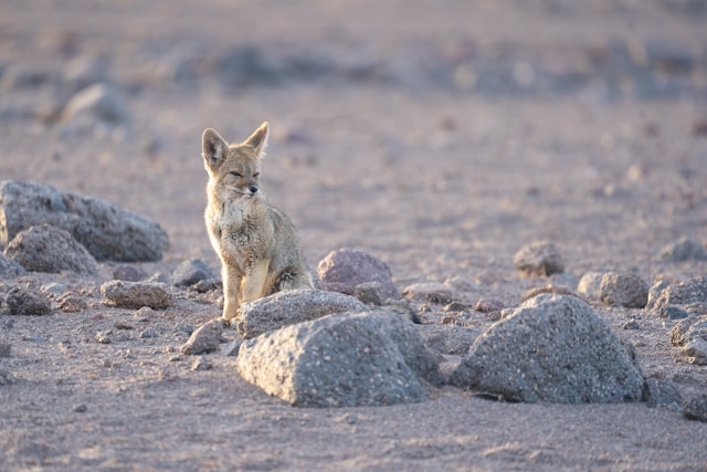 Woman smiling in a discussion